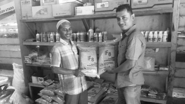 KISAH Tengku Munirwan, Kades Inovator Benih Padi IF8 Yang Bikin Panen Melimpah Tapi Dipenjara