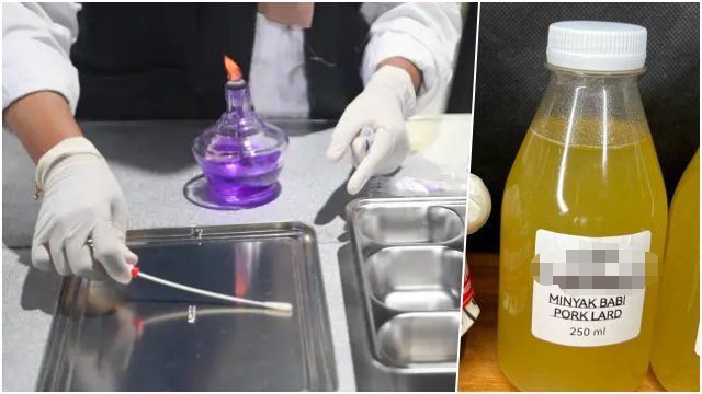 BGN Benarkan Baki Makan Bergizi Gratis Mengandung Lemak Babi, BPOM Bungkam