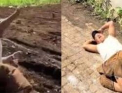 5 Fakta Viral Dosen Berguling-guling Konflik dengan Tetangga, Ini Tanggapan Kampus!