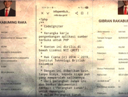 Kejanggalan Data Gibran di Situs KPU, dari ‘Pendidikan Terakhir’, Tak Bisa Diakses, hingga Berubah Jadi S1