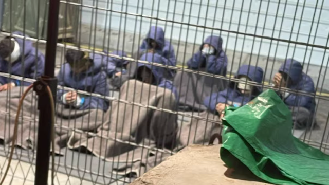 Israel Bawa Relawan dan Aktivis Sumud Flotilla ke Penjara Negev