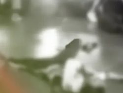 Tawuran di Sawangan Depok, Dua Pelajar Sekarat di Jalan Kena Bacok