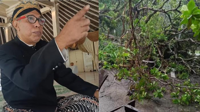 Tanda Alam Sebelum Raja Solo Wafat, Pohon Besar Tumbang di Pesanggrahan Langenharjo