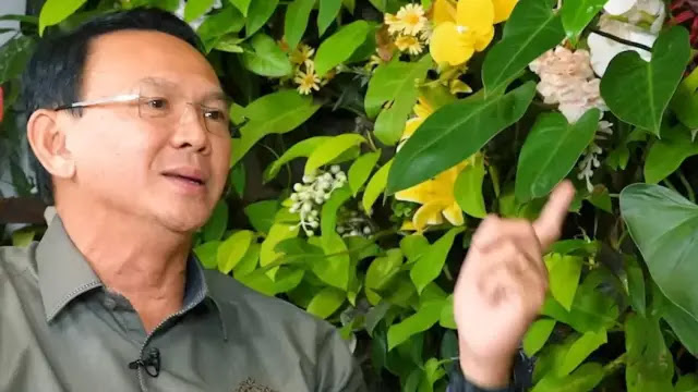 Ahok Kritik Keras Wacana Pilkada oleh DPRD: Sistem untuk Curang dan Rampas Hak Rakyat
