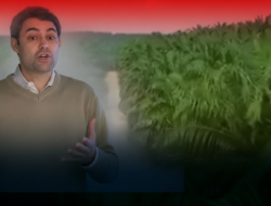 Korupsi Tambang dan Sawit Rugikan Negara Rp186,48 Triliun: Modus & Solusi AI