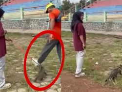 Viral Pria Tendang Kucing Sampai Mati di Blora, Identitas Pelaku Terungkap!