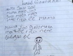 Tragedi Siswa SD di Ngada: Ujian Nyata Pendidikan Gratis di Indonesia