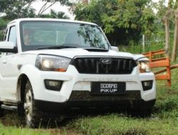 Impor 105.000 Pikap India vs Produksi Nasional 400.000 Unit: Polemik dan Dampaknya