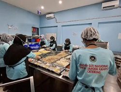 47 Dapur Makan Bergizi Gratis Disetop: Temukan Menu Berbelatung & Lauk Basi