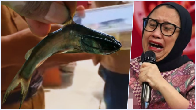 Klarifikasi Lengkap Polemik Lele Marinasi di Program Makan Bergizi Gratis Pamekasan