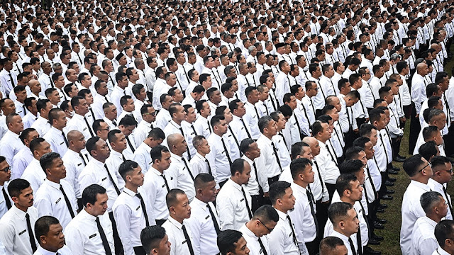 PHK Massal PPPK 2025: Dampak Kebijakan Prabowo pada Guru & Nakes