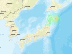 Peringatan Gempa M8+ di Jepang: Waspada Tsunami di 182 Kota Pasca Gempa M7.4