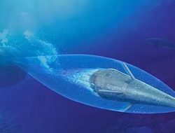 Rudal Bawah Laut Iran Hoot 200 Kg: Torpedo Super Cepat yang Bikin Musuh Gemetar