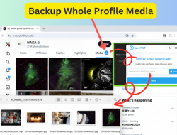 7 Cara Download Video Twitter Viral Tanpa Ribet Pakai SaveTWT