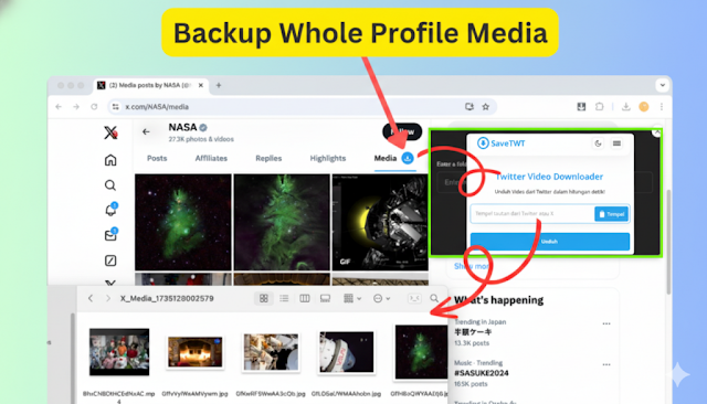 7 Cara Download Video Twitter Viral Tanpa Ribet Pakai SaveTWT