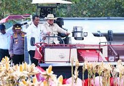 Rupiah Anjlok ke Rp17.600, Prabowo Sebut Orang Desa Tak Pakai Dollar, Artis dan Selebgram Beri Sindiran Pedas