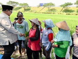 Relawan Ungkap Maksud Prabowo Soal Warga Desa Tak Pakai Dolar: Langkah Bijak di Tengah Krisis