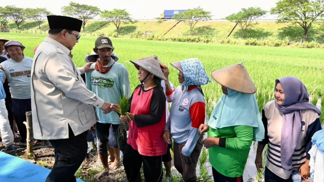 Relawan Ungkap Maksud Prabowo Soal Warga Desa Tak Pakai Dolar: Langkah Bijak di Tengah Krisis
