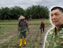 Menhan Sjafrie Tugaskan TNI AL Produksi Kedelai Demi Hentikan Impor 2,5 Juta Ton
