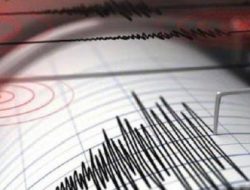 Gempa M6,5 Susulan Guncang Tahuna Sangihe Usai Gempa Utama M7,7, BMKG Keluarkan Peringatan Tsunami