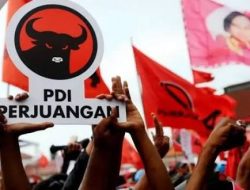 Strategi Ambigu PDIP: Antara Dukung Pemerintah Prabowo dan Kritik Publik