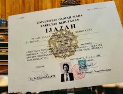 Penanganan Profesional Kasus Pencemaran Nama Baik Ijazah Jokowi: Pengamat Ingatkan Dampak Politik Luas