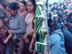 Tragedi Main Hakim Sendiri di Bali: Pria Tewas Diamuk Massa karena Curi Ayam, Pengamat Soroti Lemahnya Hukum dan Kemiskinan