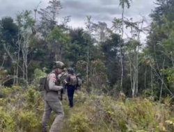 KKB Tolikara Kembali Berulah: Tembak 10 Pekerja Proyek Jalan, 5 Tewas dalam Aksi Brutal di Papua Pegunungan