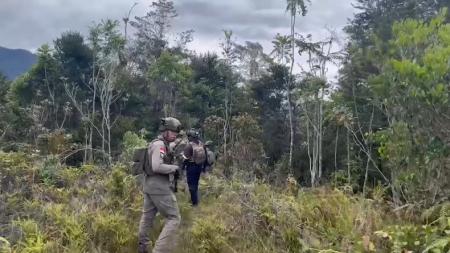 KKB Tolikara Kembali Berulah: Tembak 10 Pekerja Proyek Jalan, 5 Tewas dalam Aksi Brutal di Papua Pegunungan