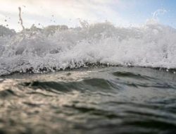 Tsunami M7,7 Nagekeo NTT: 9 Wilayah Terdampak, Ini Daftar Ketinggian Gelombang dan Status Peringatan Dini BMKG