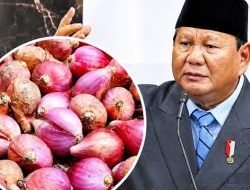 Kritik Said Didu: Faksi Geng SOP Diduga Selundupkan Data Palsu Upah Pengupas Bawang ke Pidato Presiden Prabowo