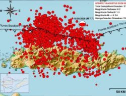 Gempa Susulan Flores NTT: BMKG Catat 2.119 Guncangan, Waspada hingga 3-4 Minggu ke Depan