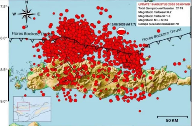 Gempa Susulan Flores NTT: BMKG Catat 2.119 Guncangan, Waspada hingga 3-4 Minggu ke Depan