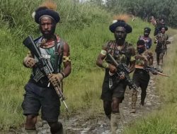 KKB Papua Culik 9 Warga Sipil di Mimika, 3 Anak SD dan Remaja Hamil Jadi Korban, TNI Lakukan Pengejaran