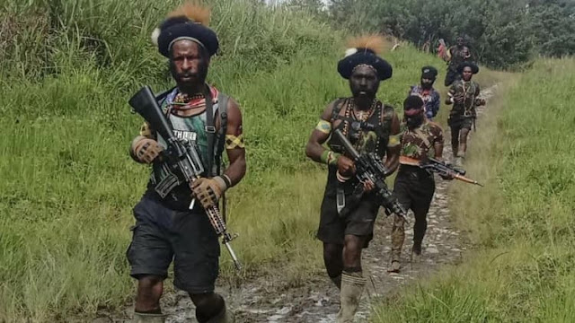 KKB Papua Culik 9 Warga Sipil di Mimika, 3 Anak SD dan Remaja Hamil Jadi Korban, TNI Lakukan Pengejaran
